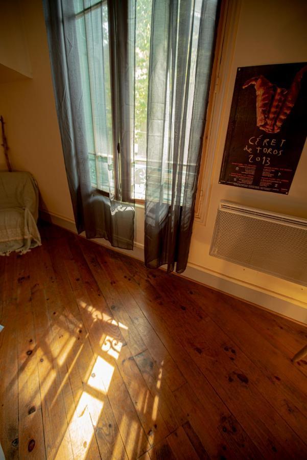 Le Refuge Ceretan, Grand Et Bel Appartement Mansarde En Plein Centre Екстер'єр фото